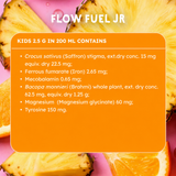 Flow Fuel Jr - Tropical Sunrise